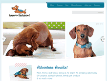 Tablet Screenshot of ammothedachshund.com